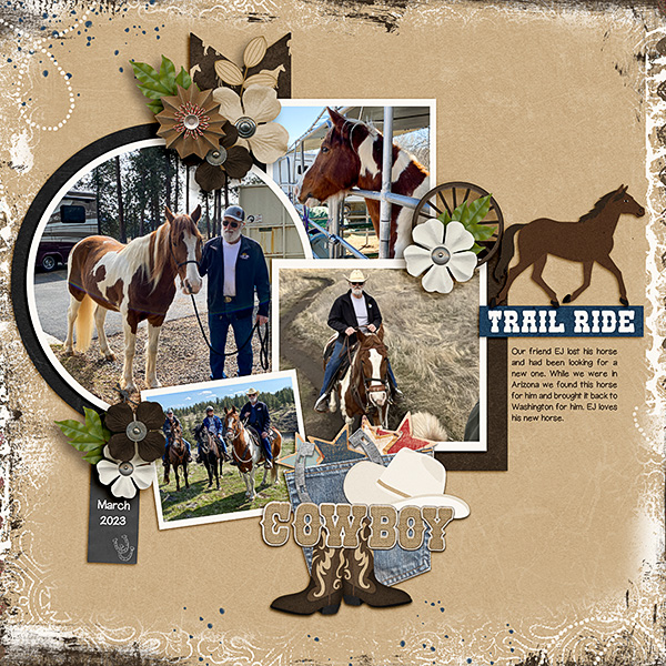 EJs-new-horse