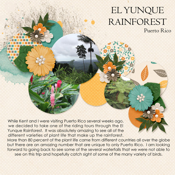 El Yunque Rainforest