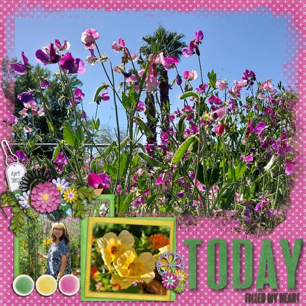 Elaine's Garden