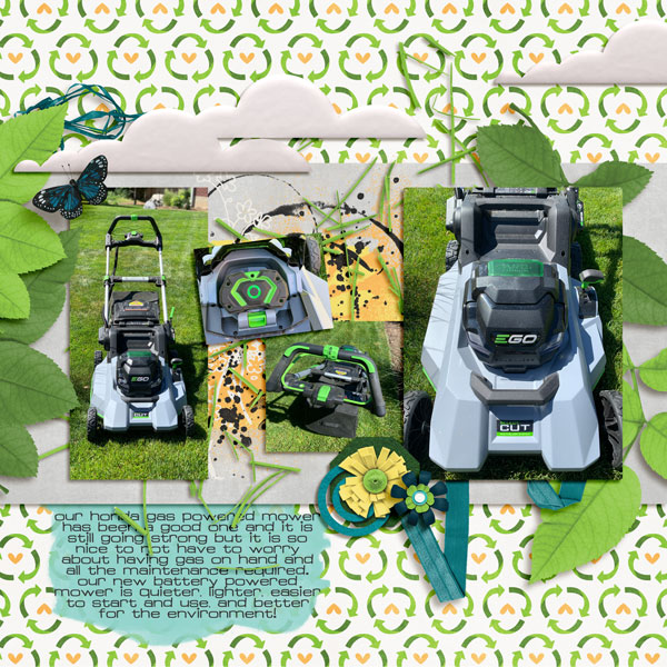 Electric Mower