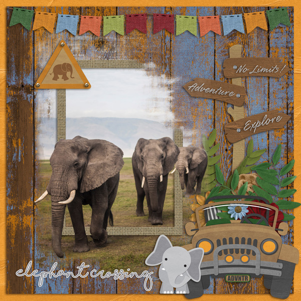 Elephant Crossing
