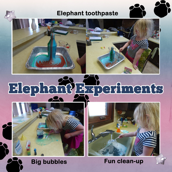 Elephant experiments