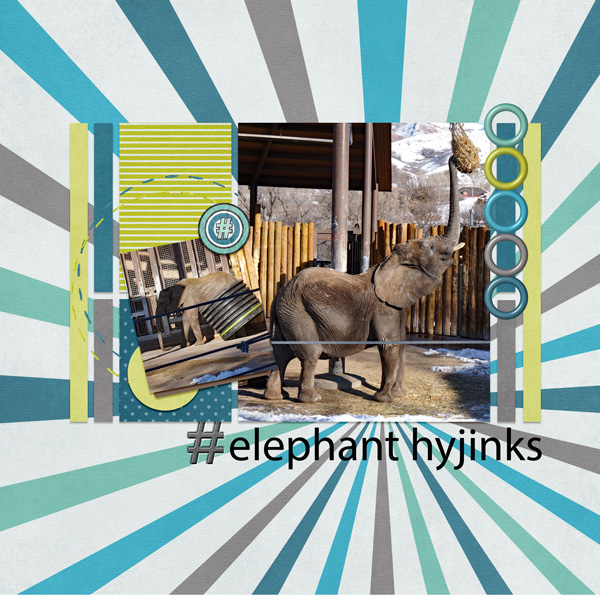 #elephant hyjinks