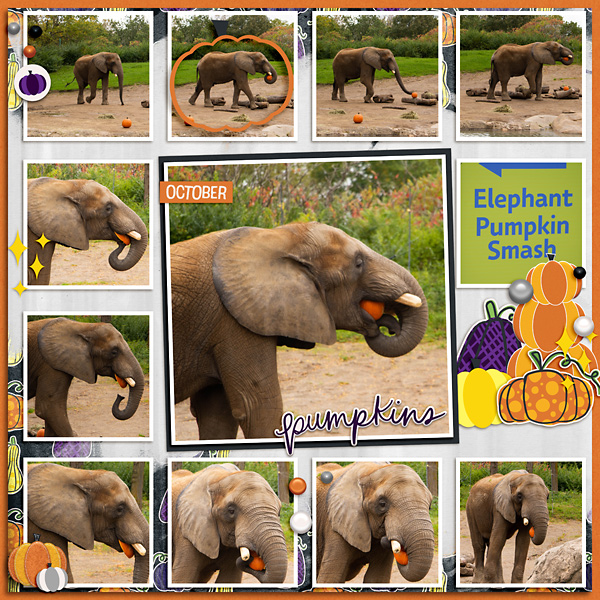 Elephant Pumpkin Smash