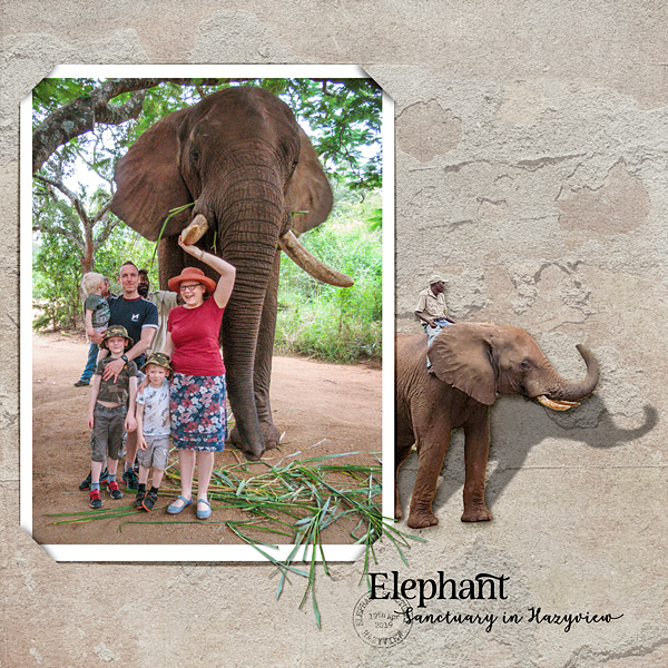Elephant Sanctuary Hazyview LHS
