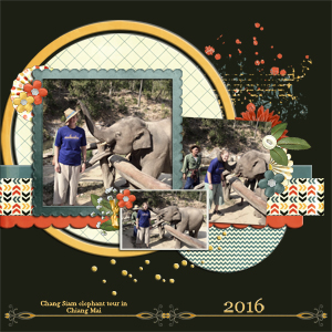 Elephant tour
