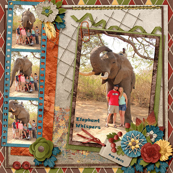 Elephant Whispers-ddnd-ATPumpkinPatch