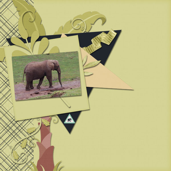 Elephant