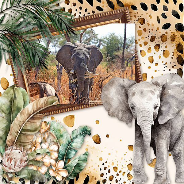 Elephant