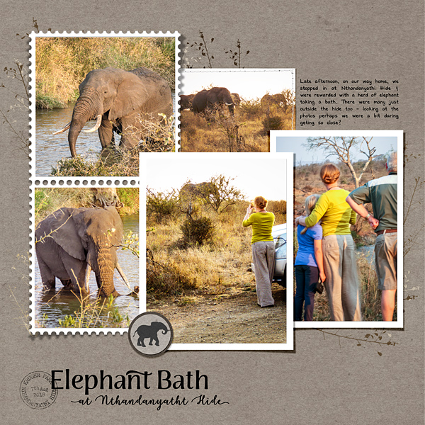 Elephants at Nthandanyathi Hide