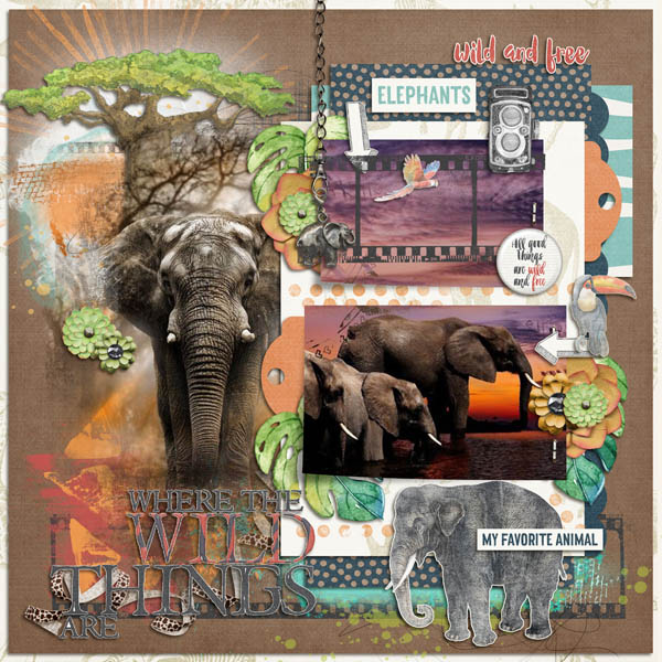 Elephants
