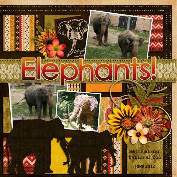 Elephants!