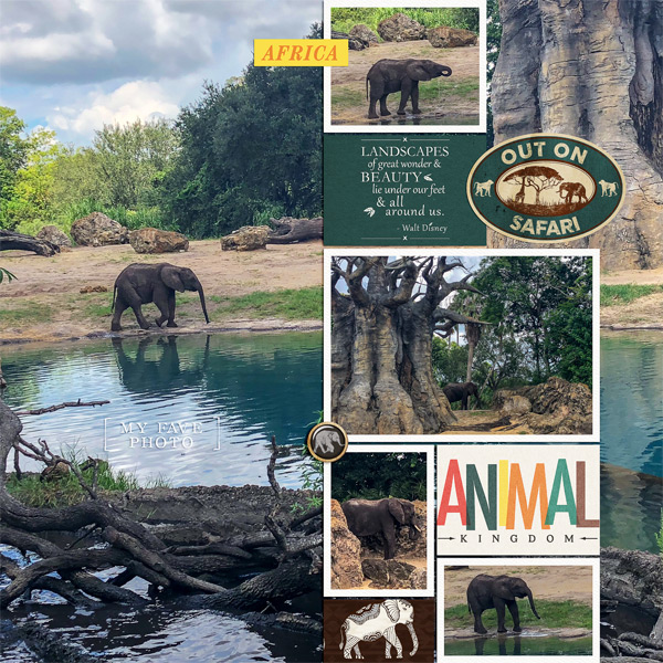 Elephants