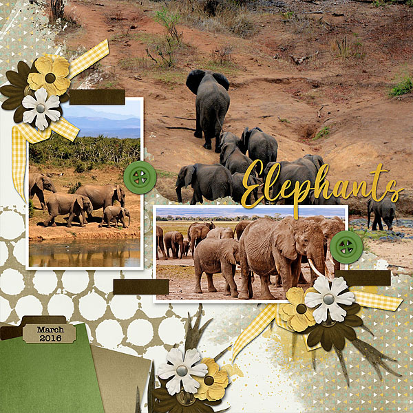 Elephants