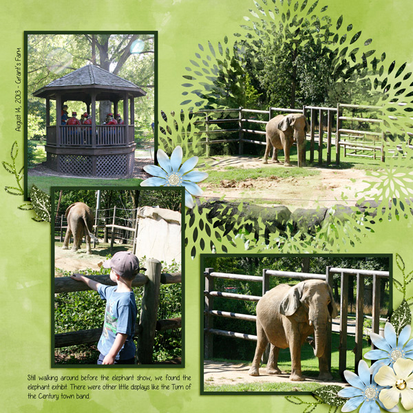 Elephants!