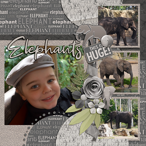 Elephants