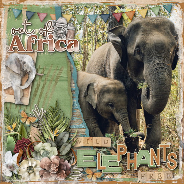 Elephants