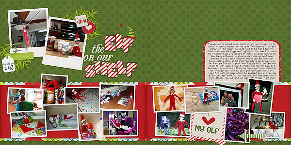 Elf on our Shelf