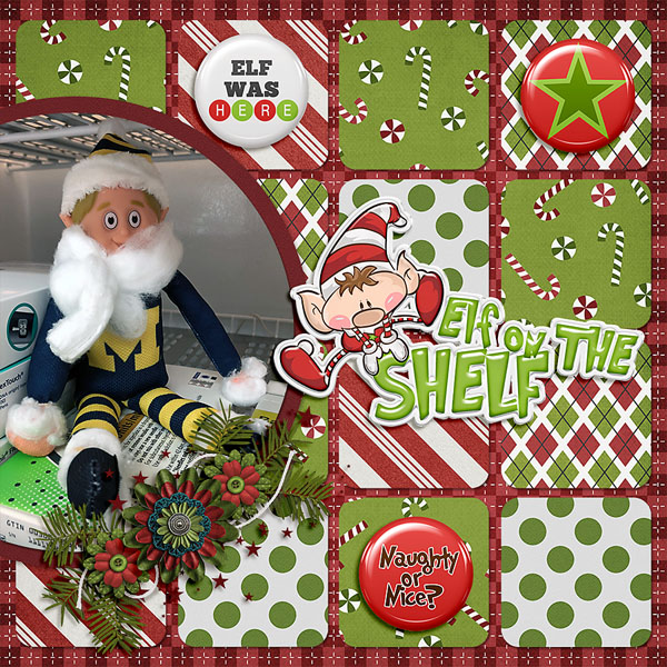 elf on the shelf