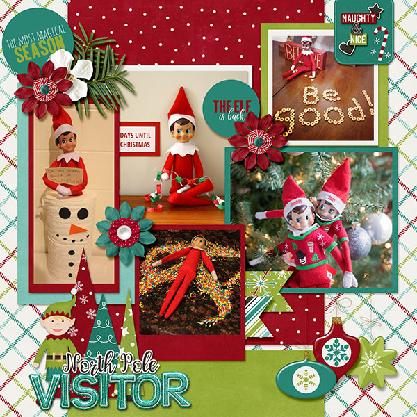 Elf Visit