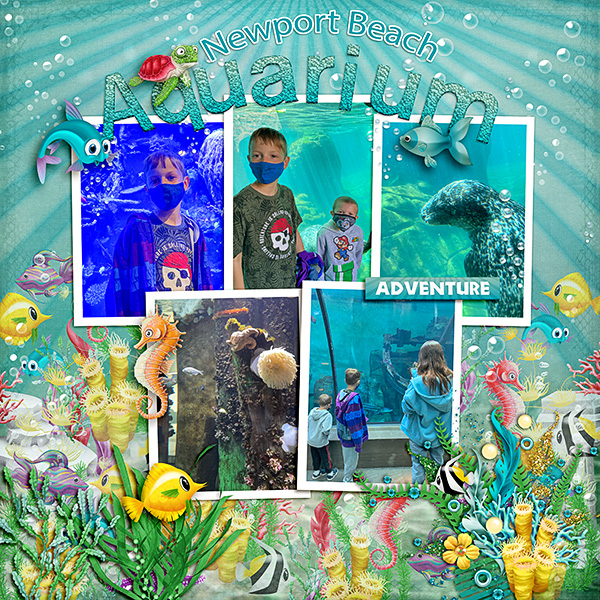 Eli-Aquarium