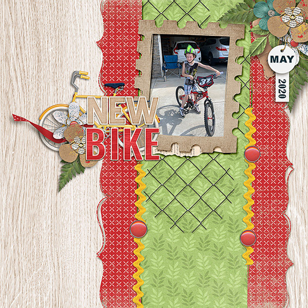 Eli-bike