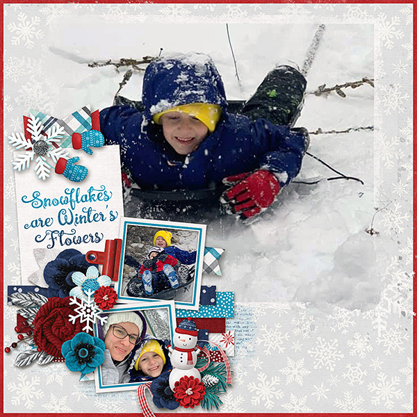 Eli-sledding