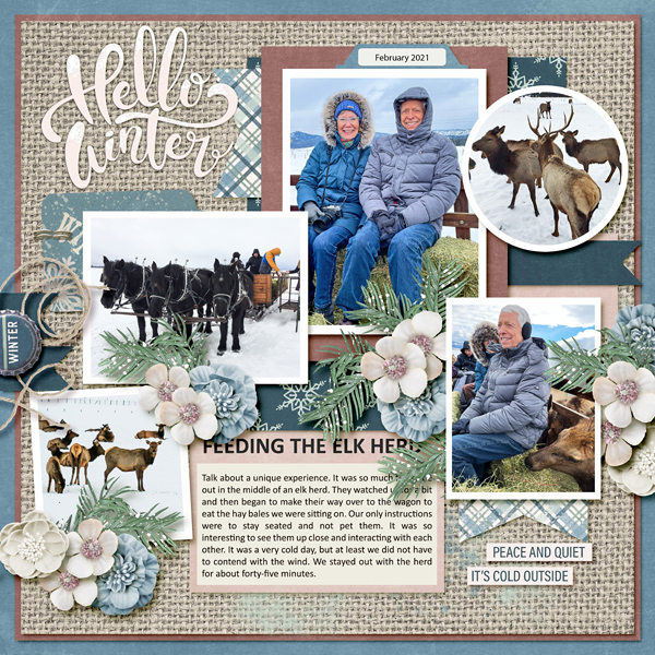 Elk Adventure