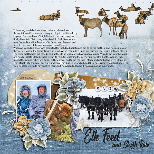Elk Feed
