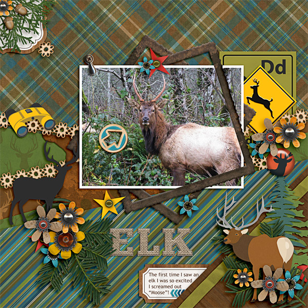 Elk