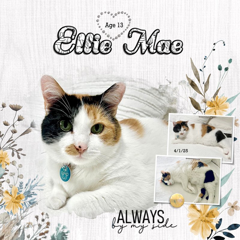 Ellie Mae13 Years