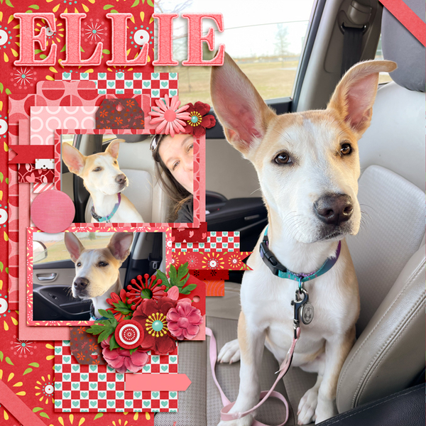 Ellie