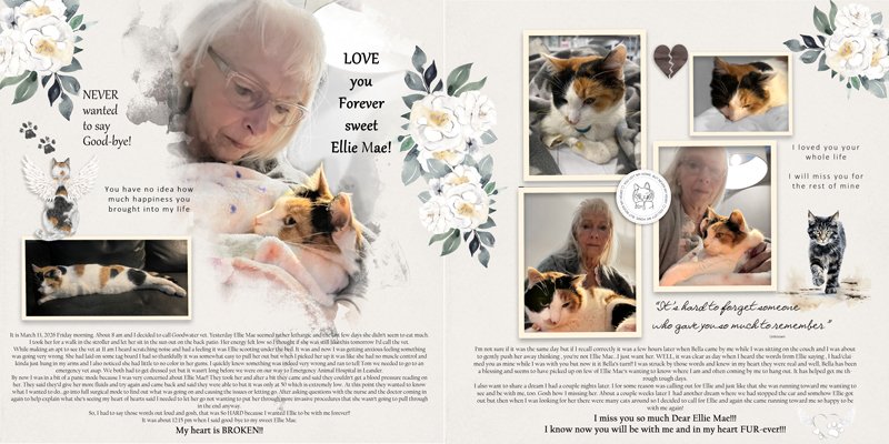 EllieMae Passing