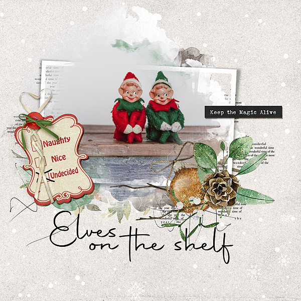 Elves on the Shelf