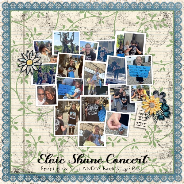 Elvie Shane Concert