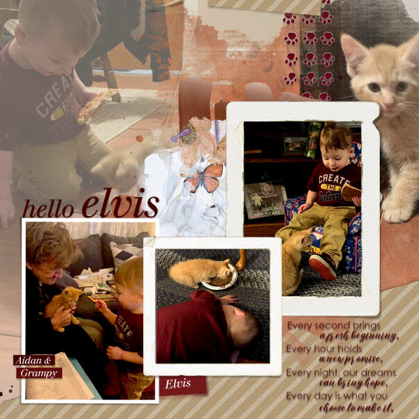 Elvis