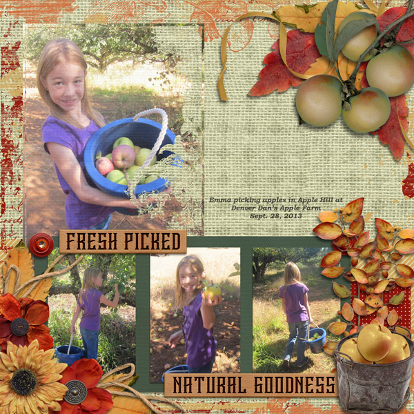 emapplepicking2013