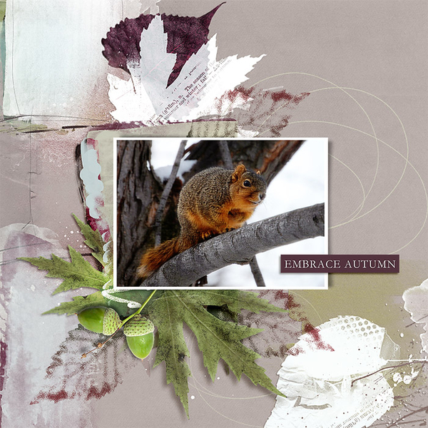 embrace autumn