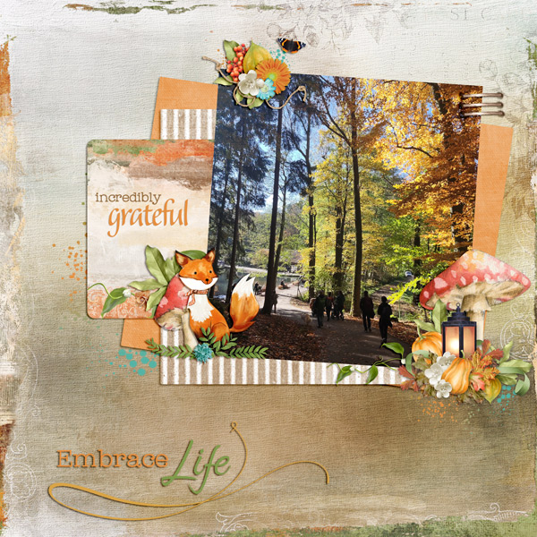 embrace life