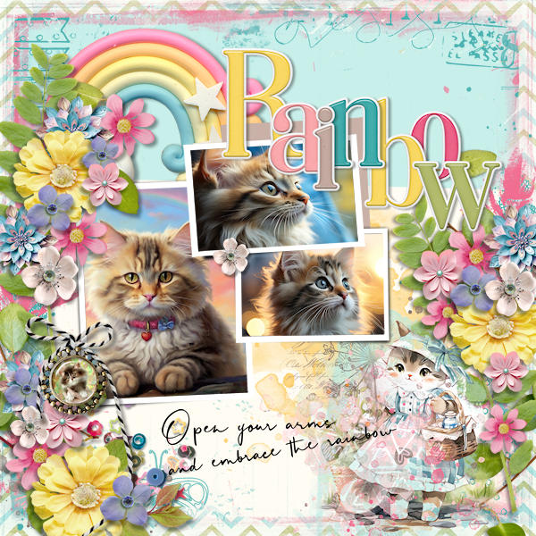 Embrace The Rainbow