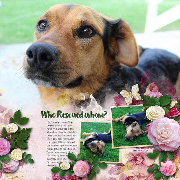 Emma Jo Rescue Dog!