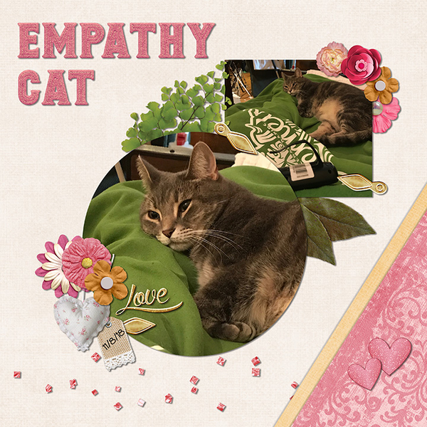 Empathy Cat
