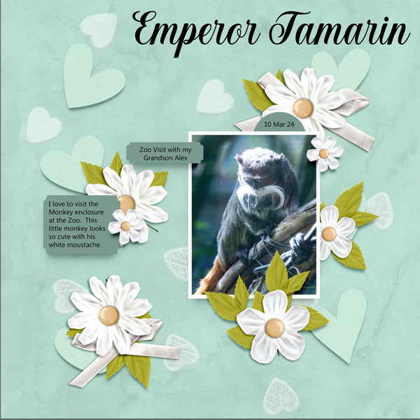 Emporer Tamarin