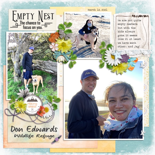 Empty Nest