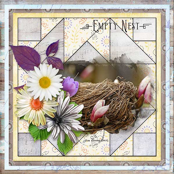 Empty Nest