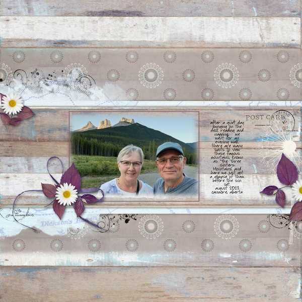 Empty Nesters