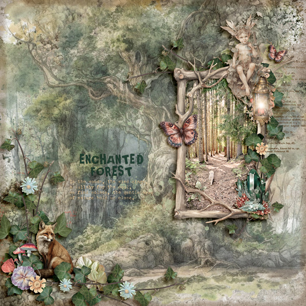 Enchanted Forest