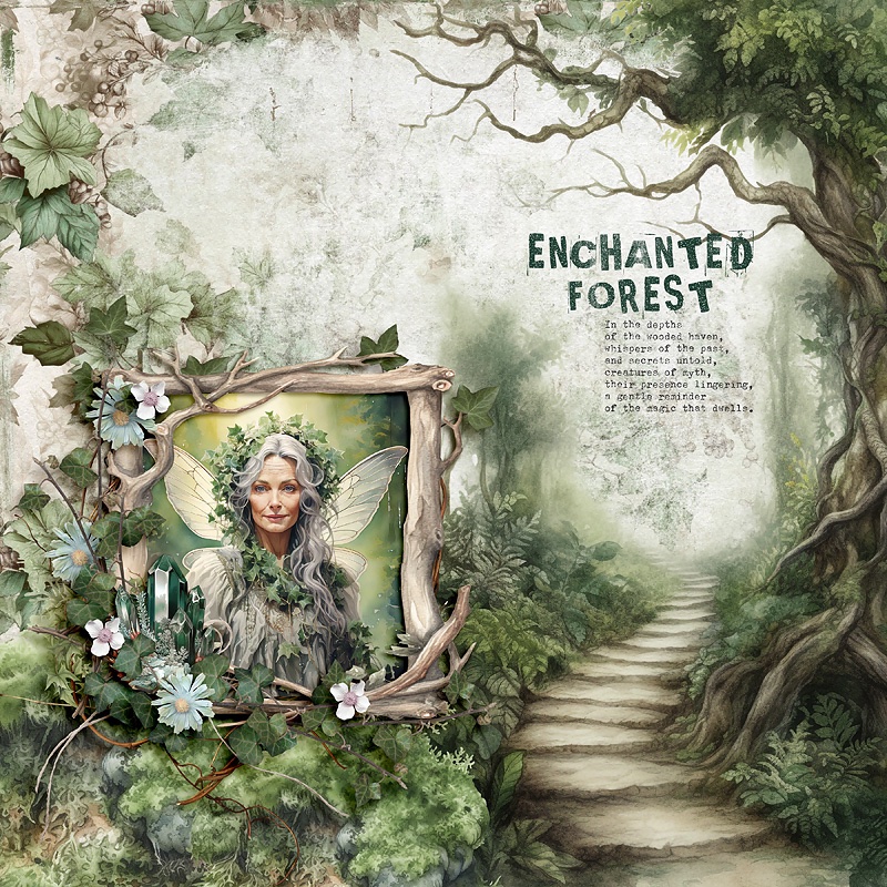 Enchanted Forest