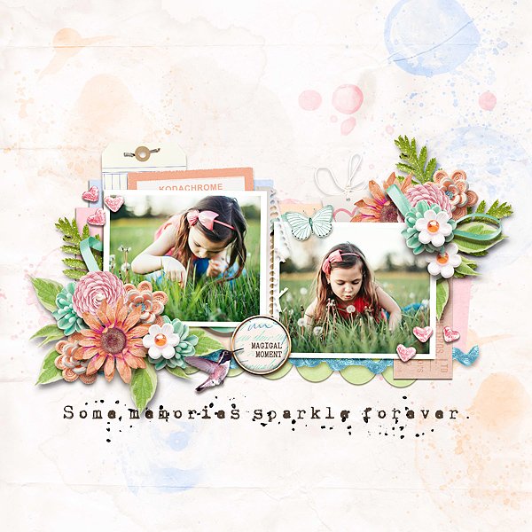 enchanted memories