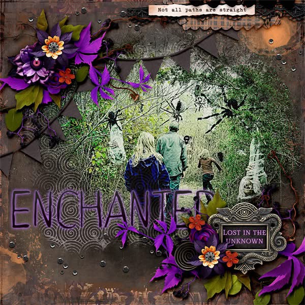 Enchanted Path